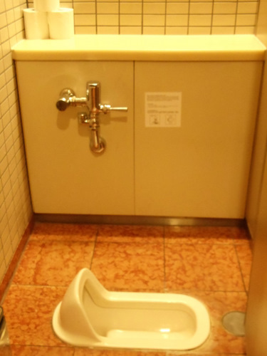 This is called a Squat Toilet.